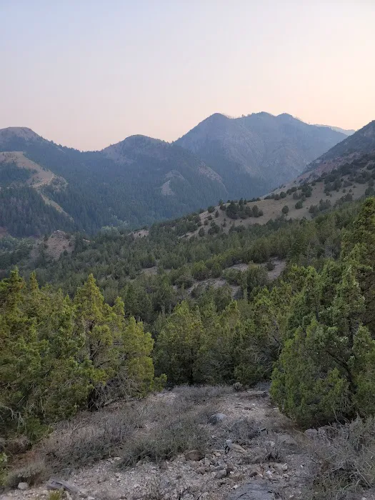 Loop Campground Picture 1