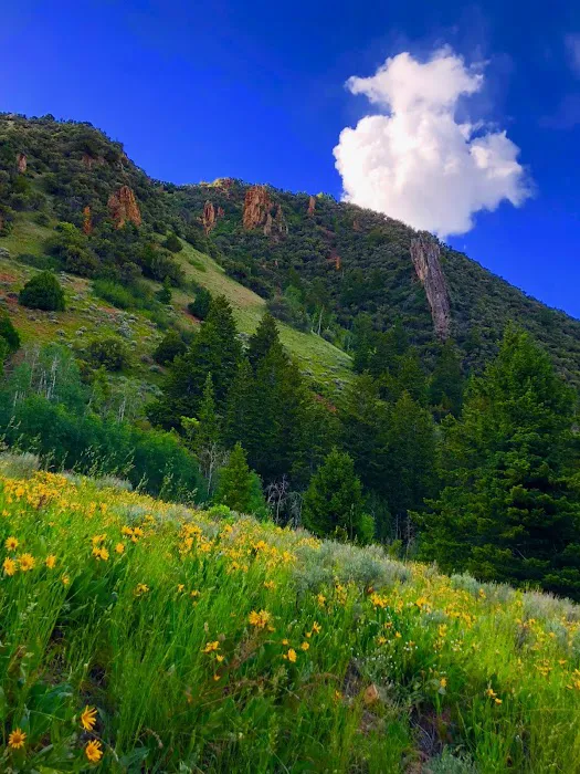 Loop Campground Picture 5