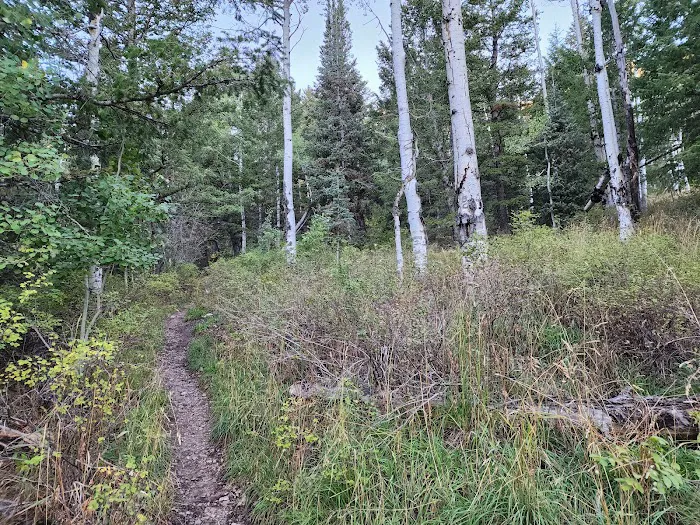 Loop Campground Picture 4