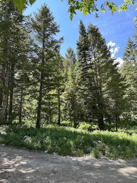 Loop Campground Picture 7