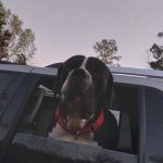 Crescent Mobile Home Park