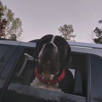 Crescent Mobile Home Park ico