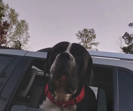 Crescent Mobile Home Park