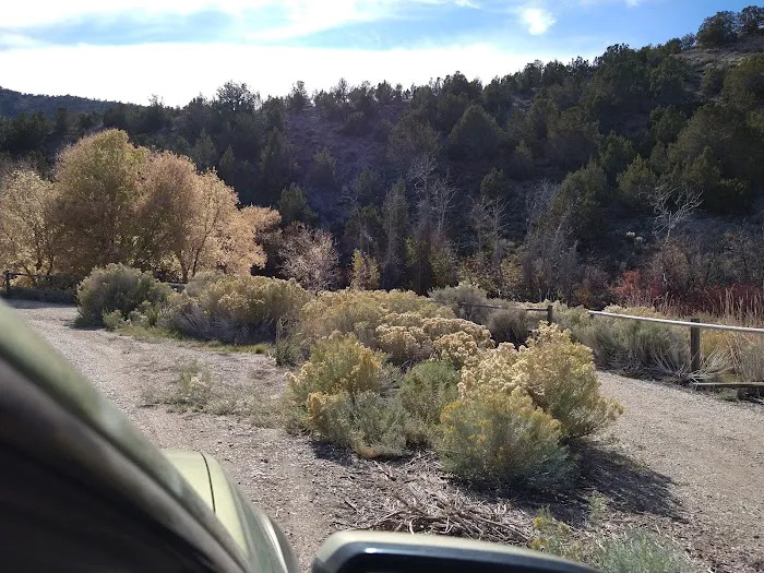 Clover Springs Campground Picture 2