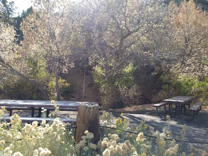 Clover Springs Campground Picture 8