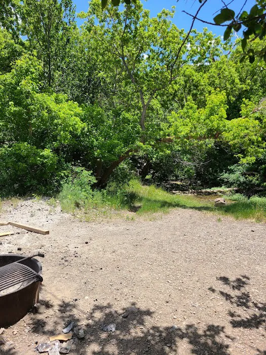 Clover Springs Campground Picture 5