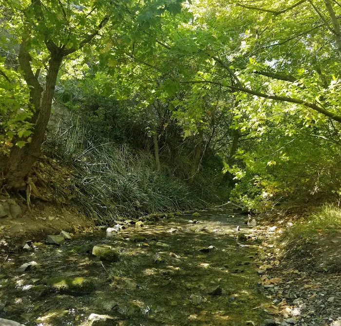 Clover Springs Campground Picture 10