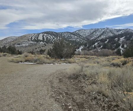 Clover Springs Campground