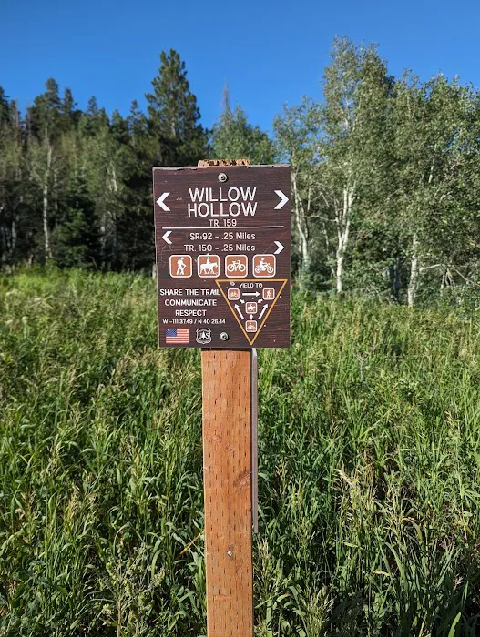 Salamander Flat Trail Head Campground Picture 6