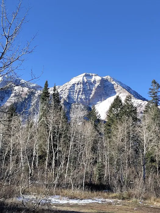 Salamander Flat Trail Head Campground Picture 1