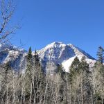 Salamander Flat Trail Head Campground