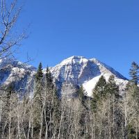 Salamander Flat Trail Head Campground ico