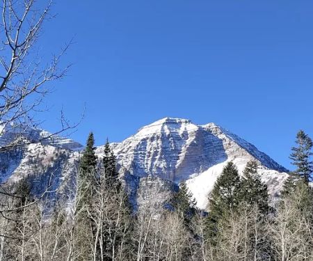 Salamander Flat Trail Head Campground
