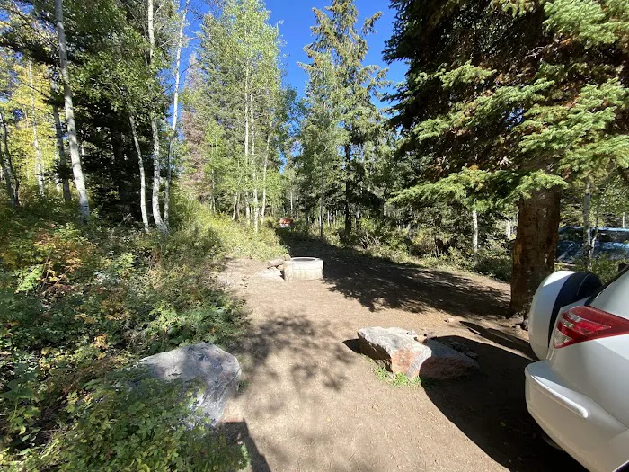 Salamander Flat Trail Head Campground Picture 7