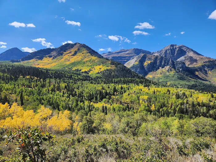 Salamander Flat Trail Head Campground Picture 4