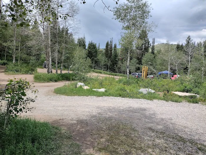 Salamander Flat Trail Head Campground Picture 10