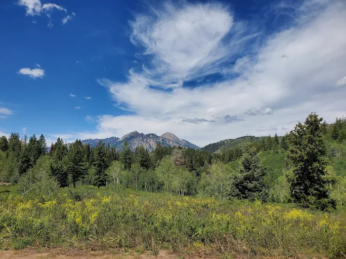 Salamander Flat Trail Head Campground Picture 3