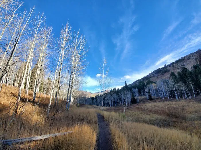 Salamander Flat Trail Head Campground Picture 9