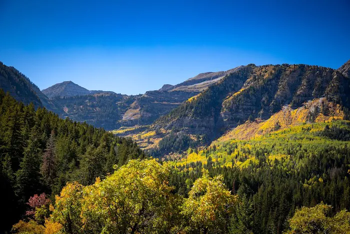 Altamont Group Campground Picture 5