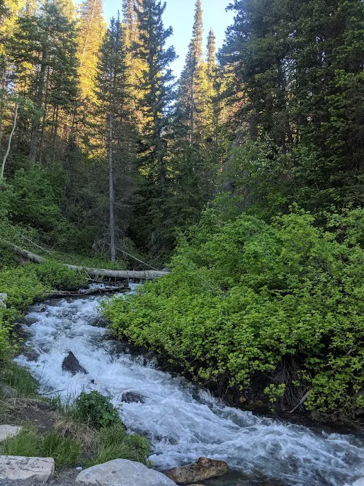 Altamont Group Campground Picture 6