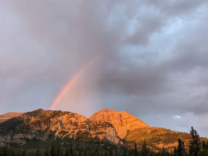 Altamont Group Campground Picture 8
