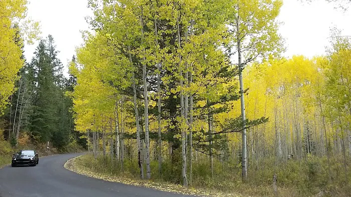 Altamont Group Campground Picture 1