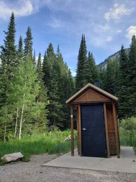 Timpooneke Campground Picture 1