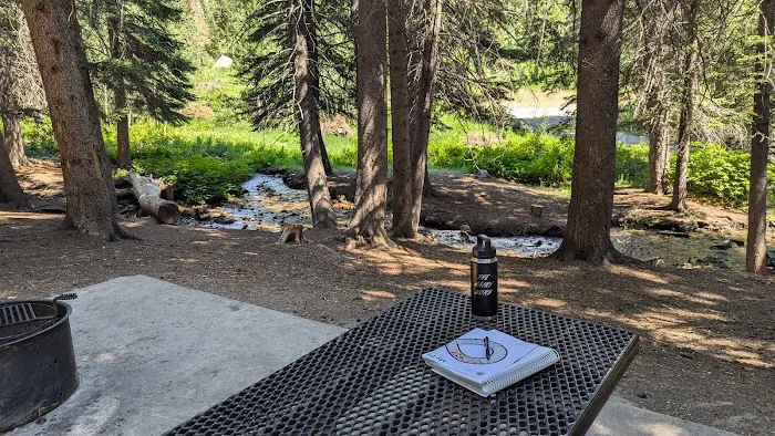 Timpooneke Campground Picture 9