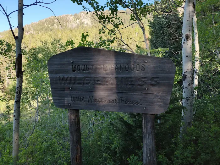 Timpooneke Campground Picture 7