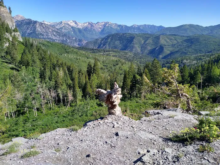 Timpooneke Campground Picture 10