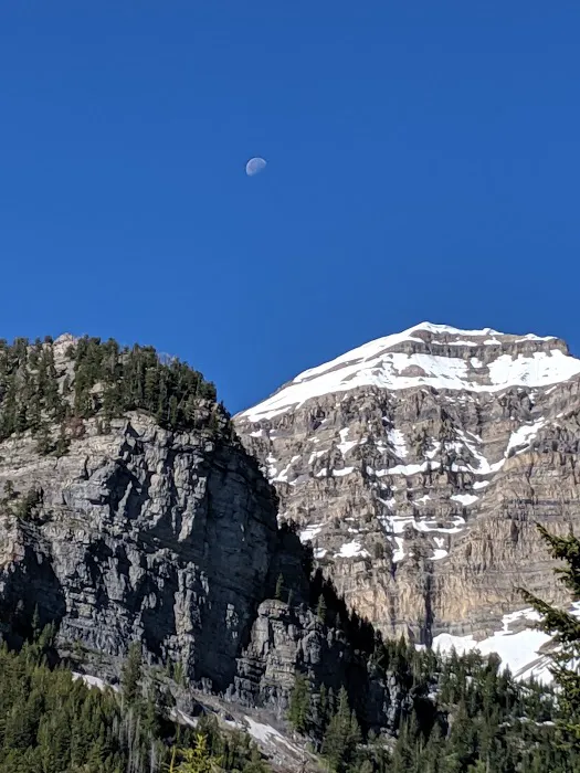 Timpooneke Campground Picture 5