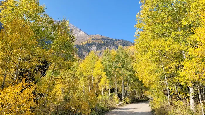 Timpooneke Campground Picture 3