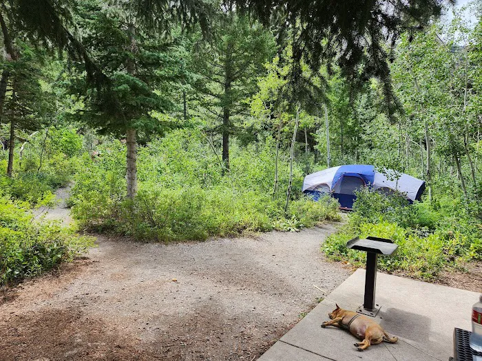 Timpooneke Campground Picture 4