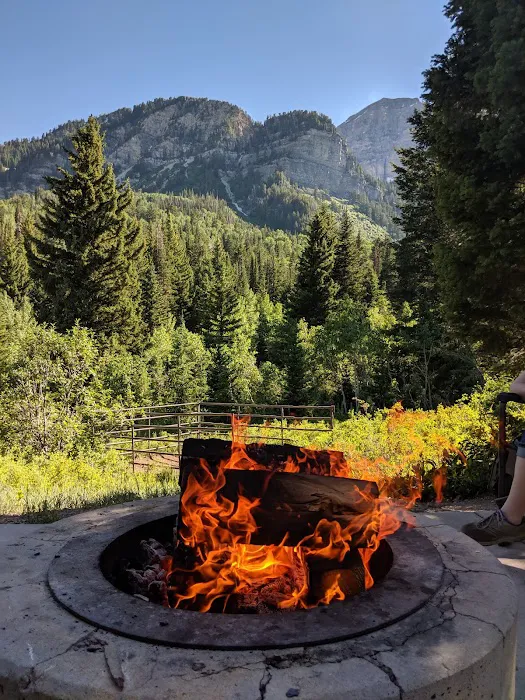 Timpooneke Campground Picture 6