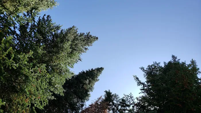 Timpooneke Campground Picture 8