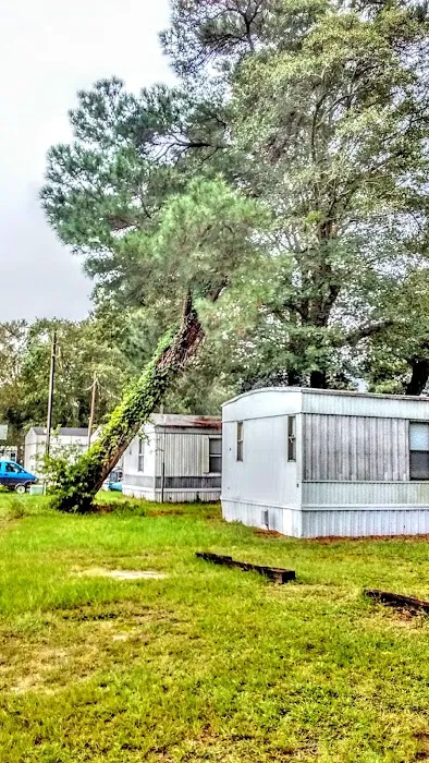 Azalea Court Picture 5