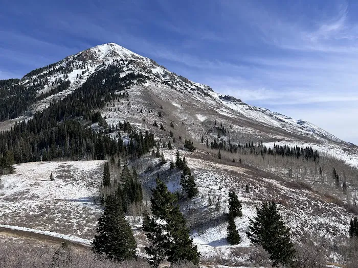 Mount Timpanogos Campground Picture 7