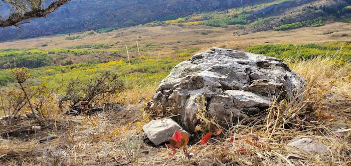 Mount Timpanogos Campground Picture 5