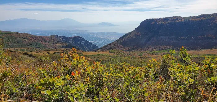 Mount Timpanogos Campground Picture 4