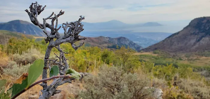 Mount Timpanogos Campground Picture 6