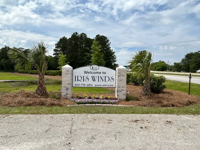 Iris Winds Picture 10