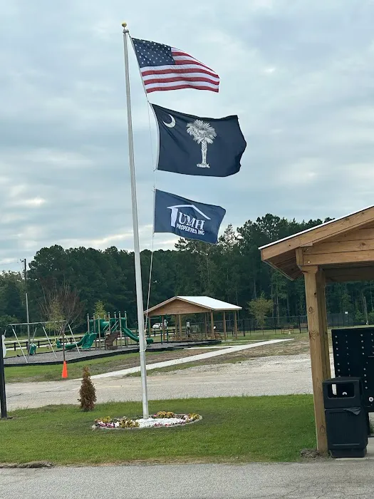 Iris Winds Picture 6