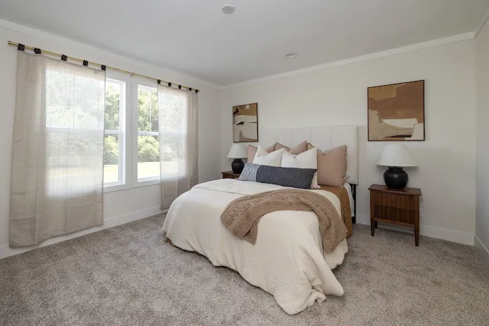 Iris Winds Picture 5