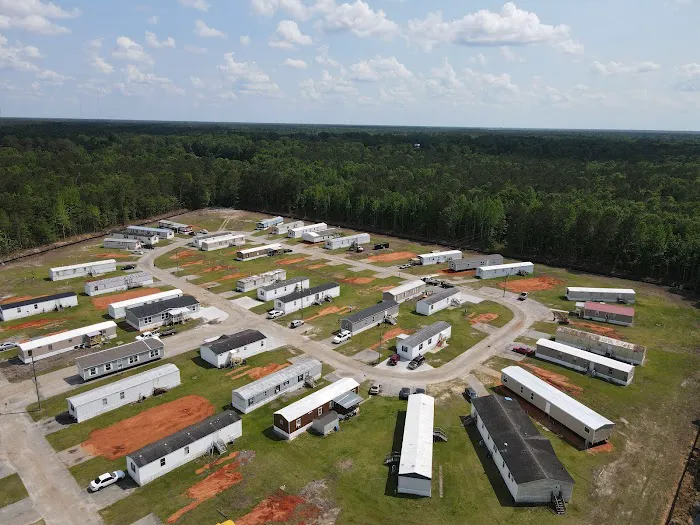 Iris Winds Picture 8