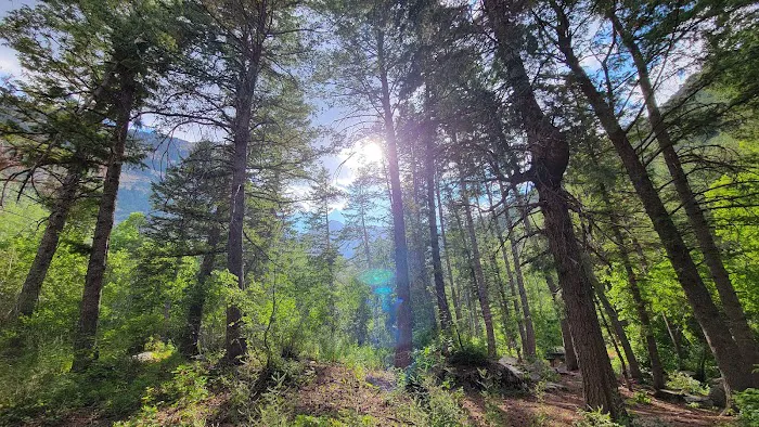 Mount Timpanogos Campground Picture 5