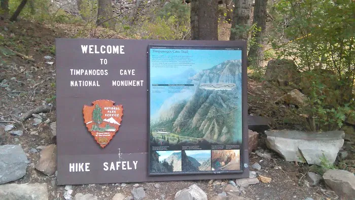 Mount Timpanogos Campground Picture 3