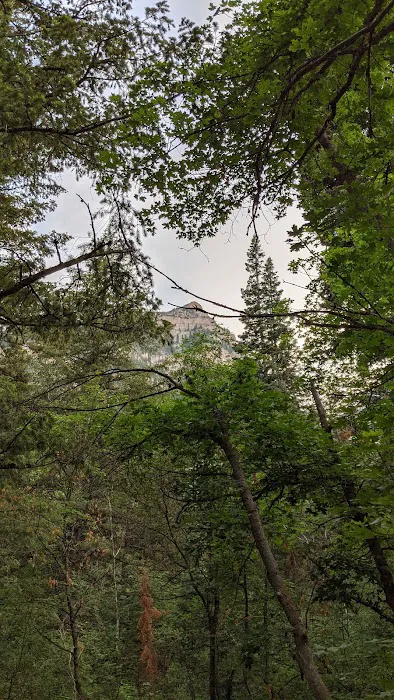 Mount Timpanogos Campground Picture 4