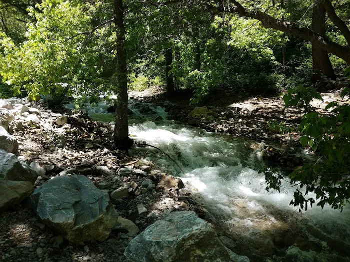 Mount Timpanogos Campground Picture 8