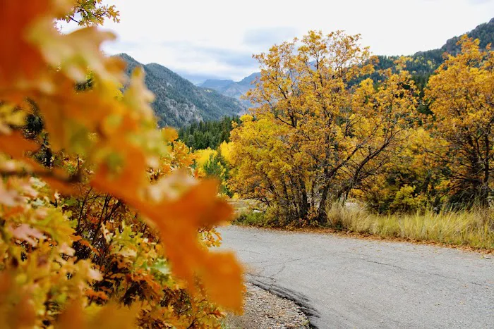Mount Timpanogos Campground Picture 9