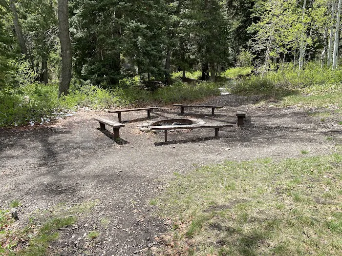 Theater-in-the-Pines Group Campground Picture 6